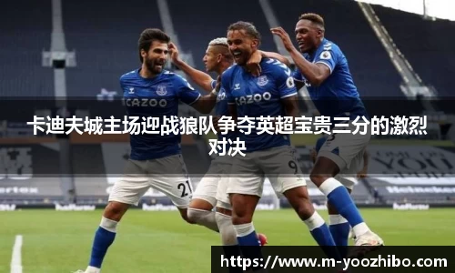 卡迪夫城主场迎战狼队争夺英超宝贵三分的激烈对决